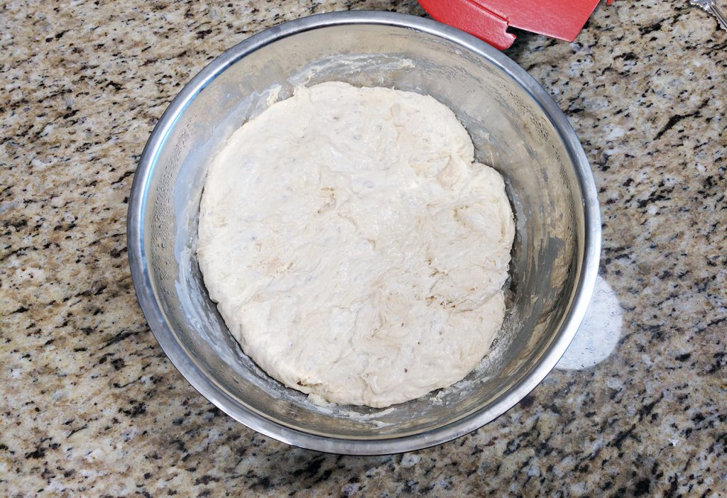 Instant Pot Whey Bread dough